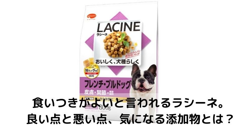 一番の 日本ペットフード LACINE ラシーネ ポメラニアン 1.6kg 入数8
